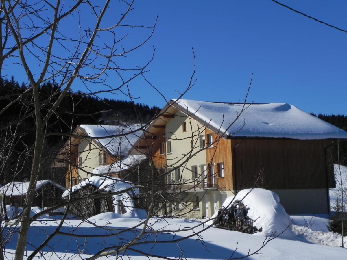 Appt 3* Le Haut Des Lacs Xonrupt-Longemer Extérieur photo
