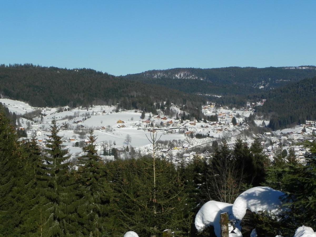 Appt 3* Le Haut Des Lacs Xonrupt-Longemer Extérieur photo