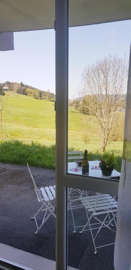 Appt 3* Le Haut Des Lacs Xonrupt-Longemer Extérieur photo
